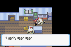 Pokemon Ruby 2012 Screenshot 1